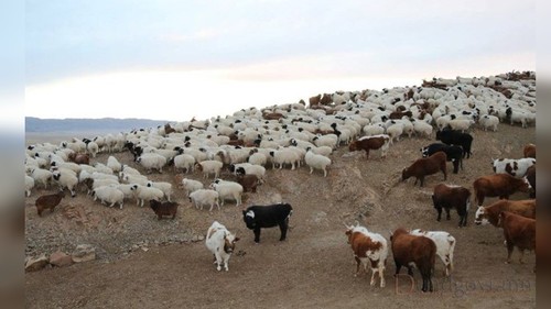 льготное кредитование