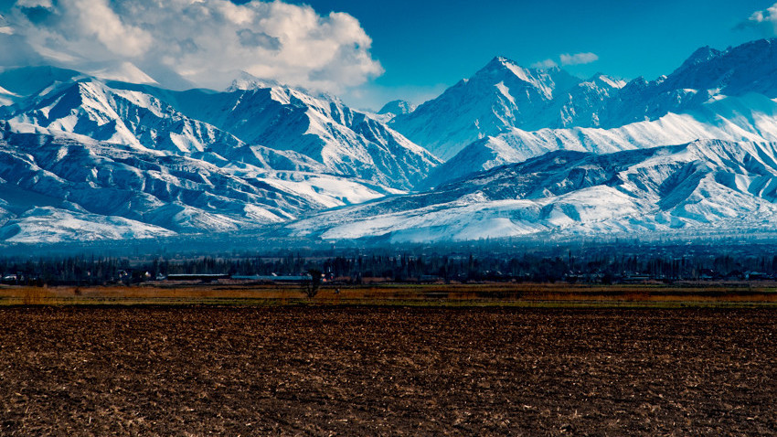 Иллюстрациялык сүрөт