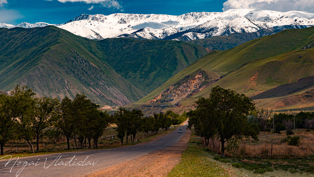 Фото Владислава Ногая