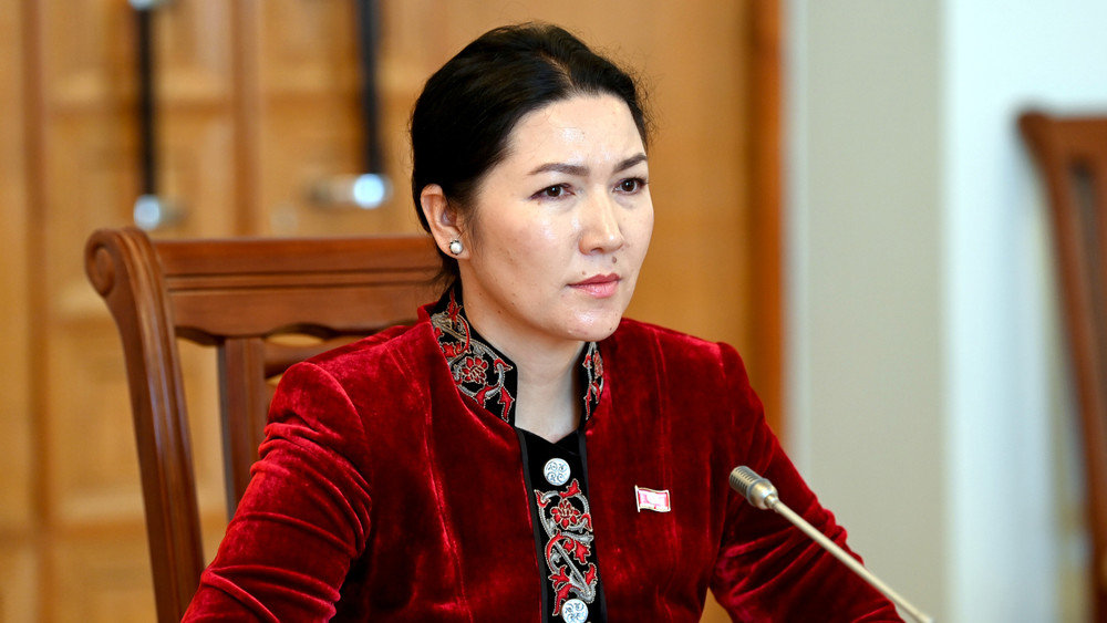 Вице-спикер Джамиля Исаева