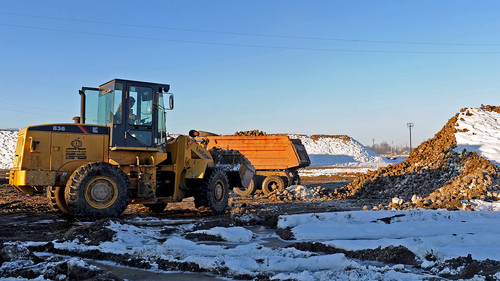 сахарная свекла
