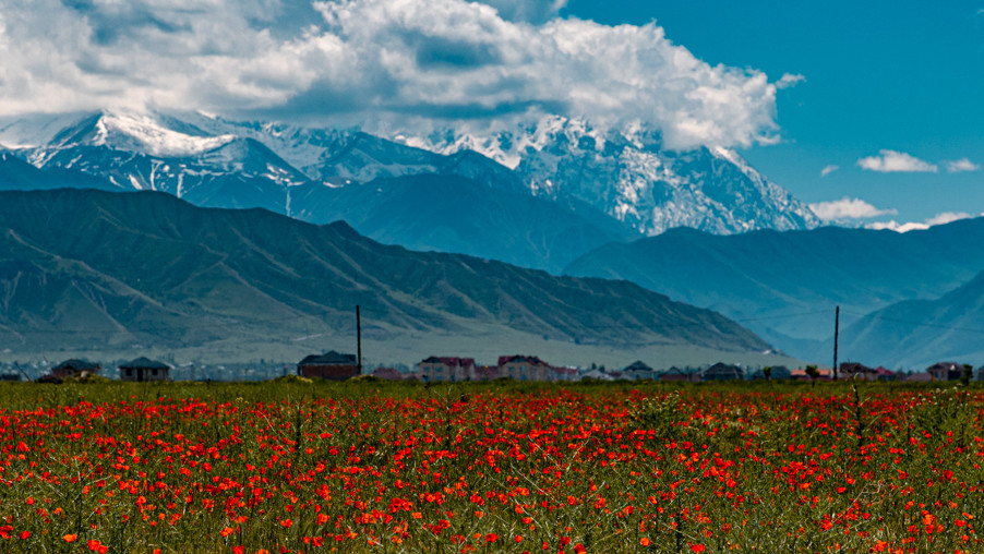 Фото Владислава Ногая
