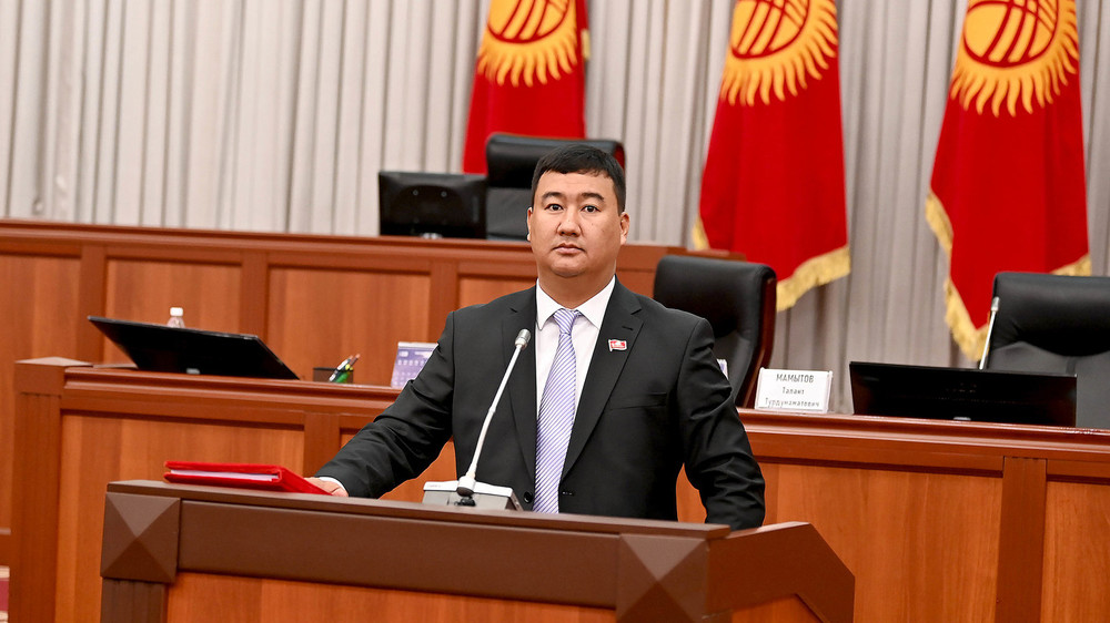 Үлкен мүшесі тығыз киска