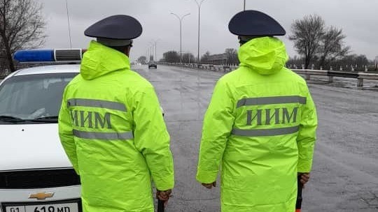 Иллюстративное фото