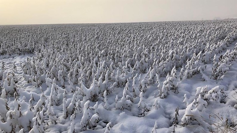 Иллюстративное фото