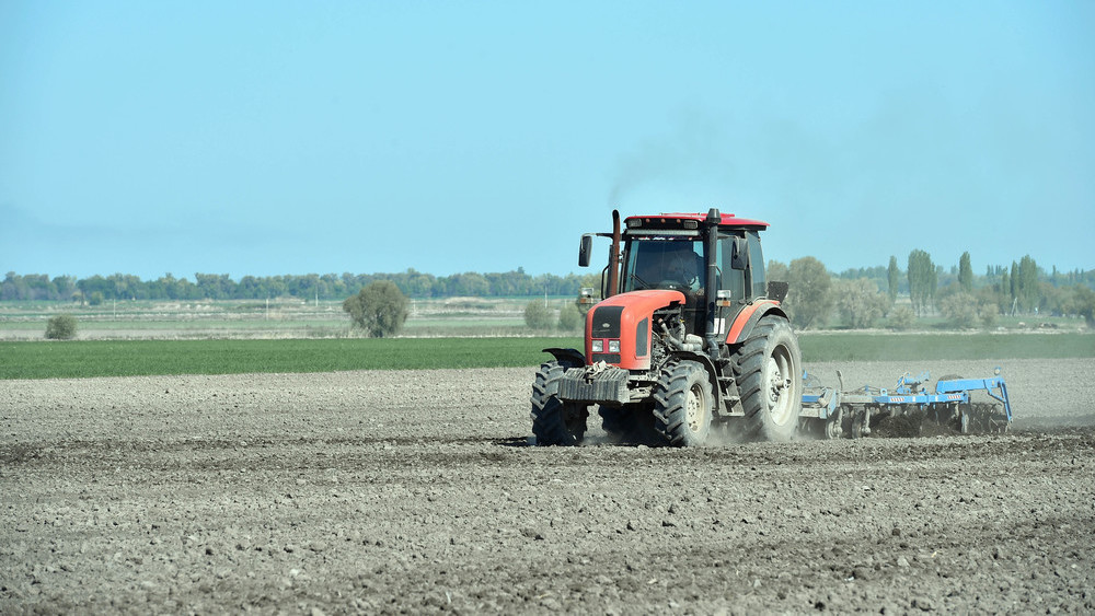 Иллюстрациялык сүрөт