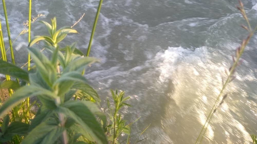 Иллюстрациялык сүрөт