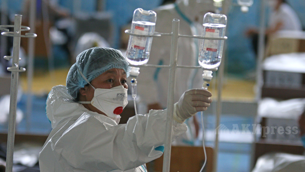 Иллюстрациялык сүрөт