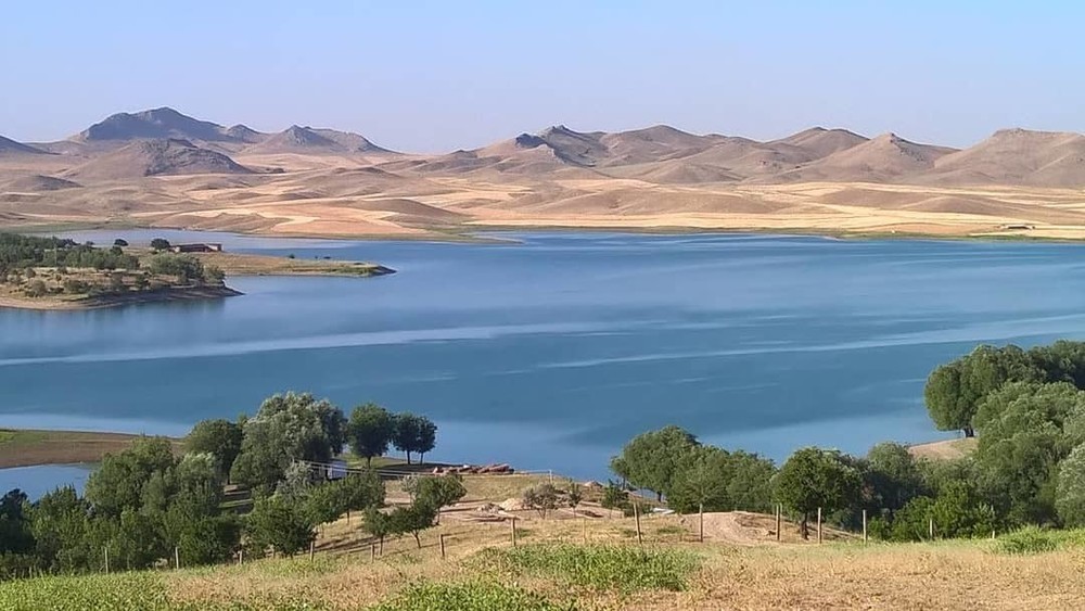 Иллюстрациялык сүрөт