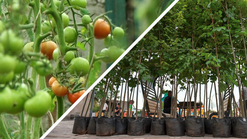 карта агроиндустрии