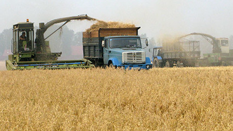 Иллюстративное фото