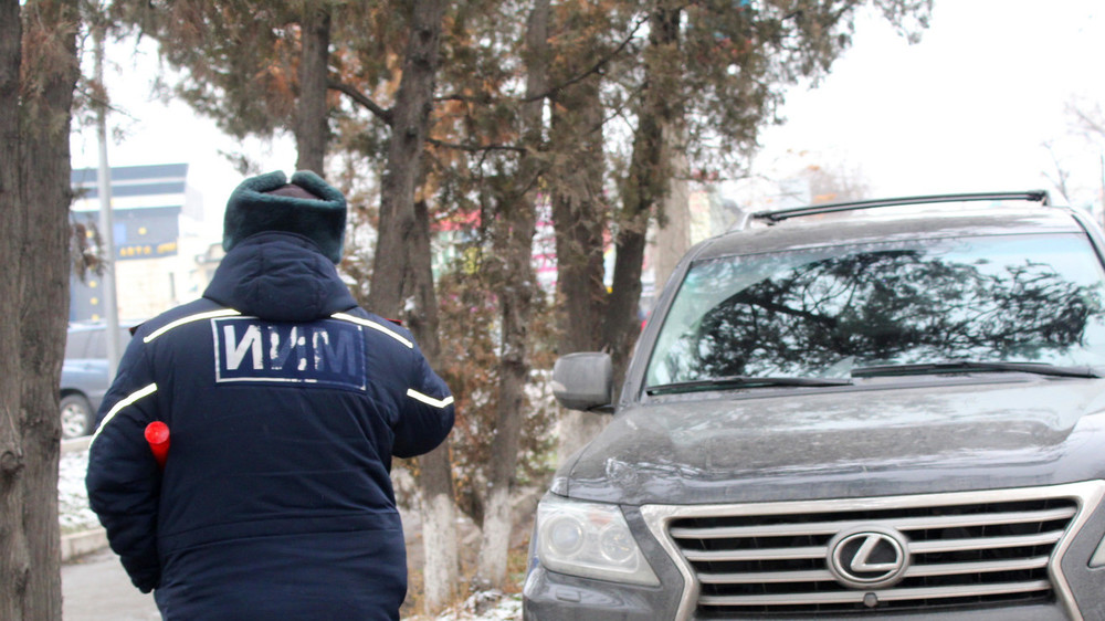 Иллюстрациялык сүрөт