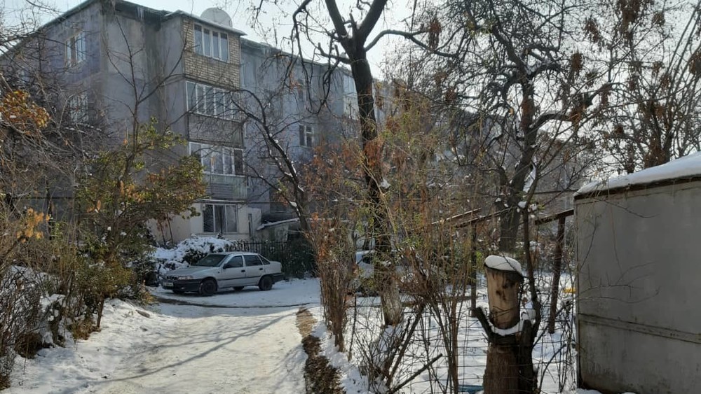 Иллюстрациялык сүрөт