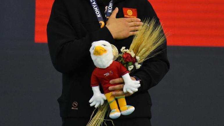 Иллюстрациялык сүрөт