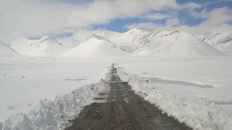 Иллюстрациялык сүрөт