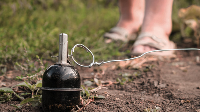 Иллюстрациялык сүрөт