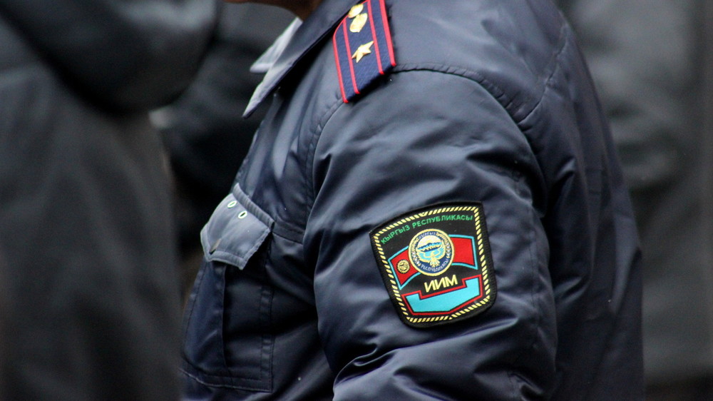 Иллюстрациялык сүрөт