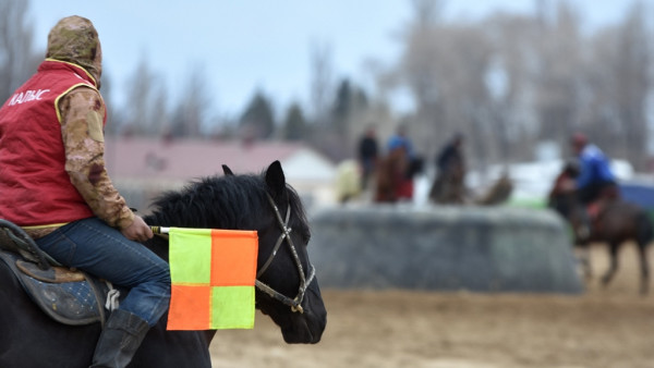 Иллюстрациялык сүрөт