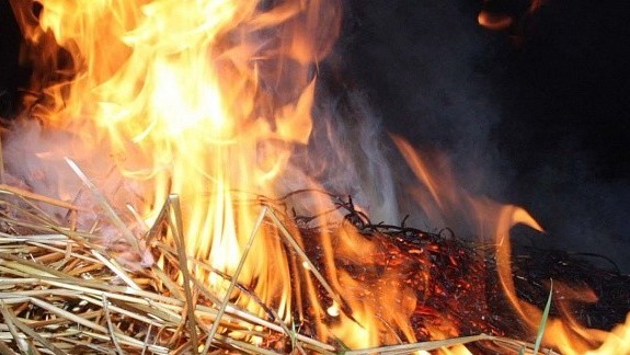 иллюстративное фото