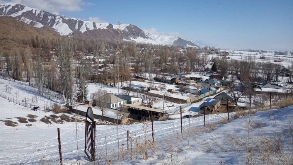 Иллюстрациялык сүрөт