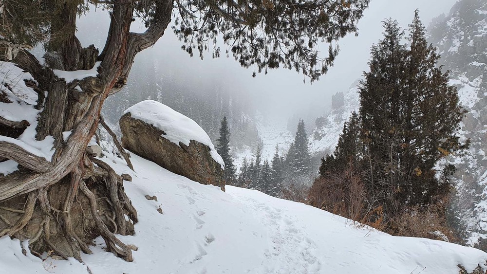 Природный парк Ала-Арча