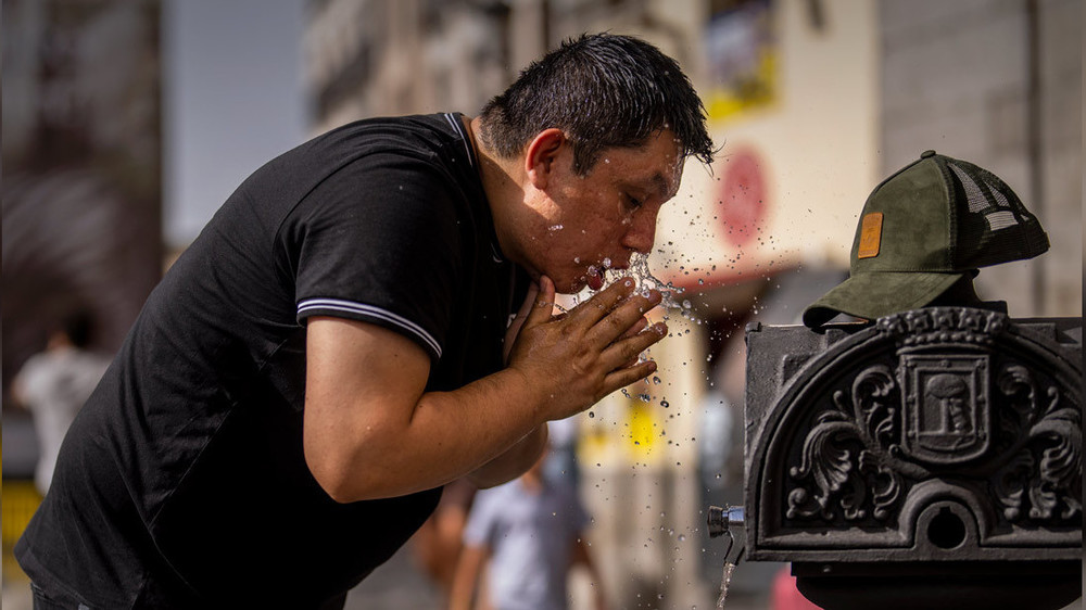 Иллюстративное фото