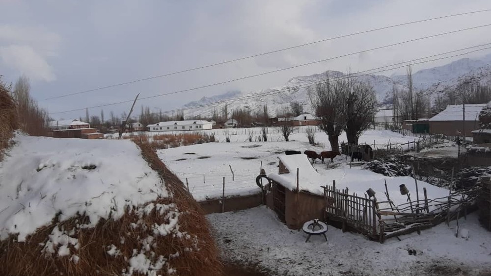 Иллюстрациялык сүрөт