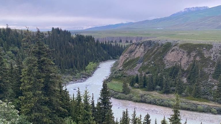 Иллюстрациялык сүрөт