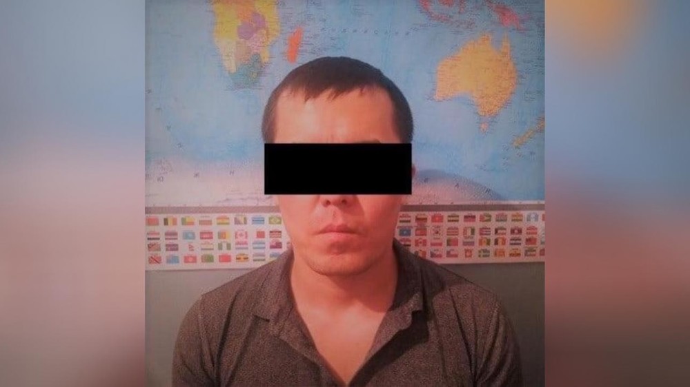 Подозреваемый в краже