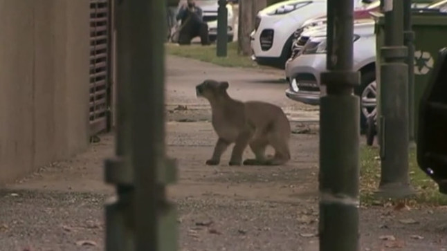 кадр из видео