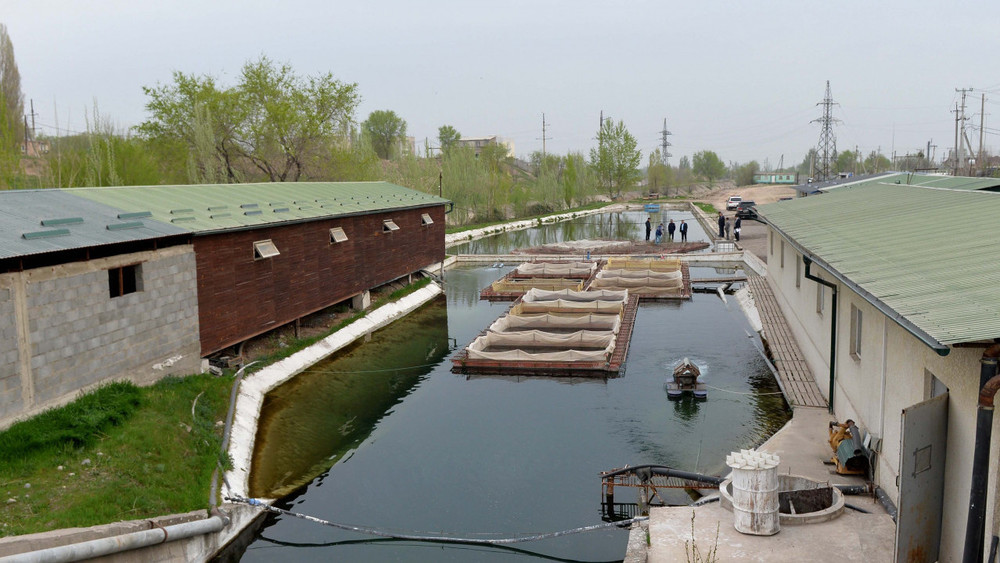 //Иллюстративное фото