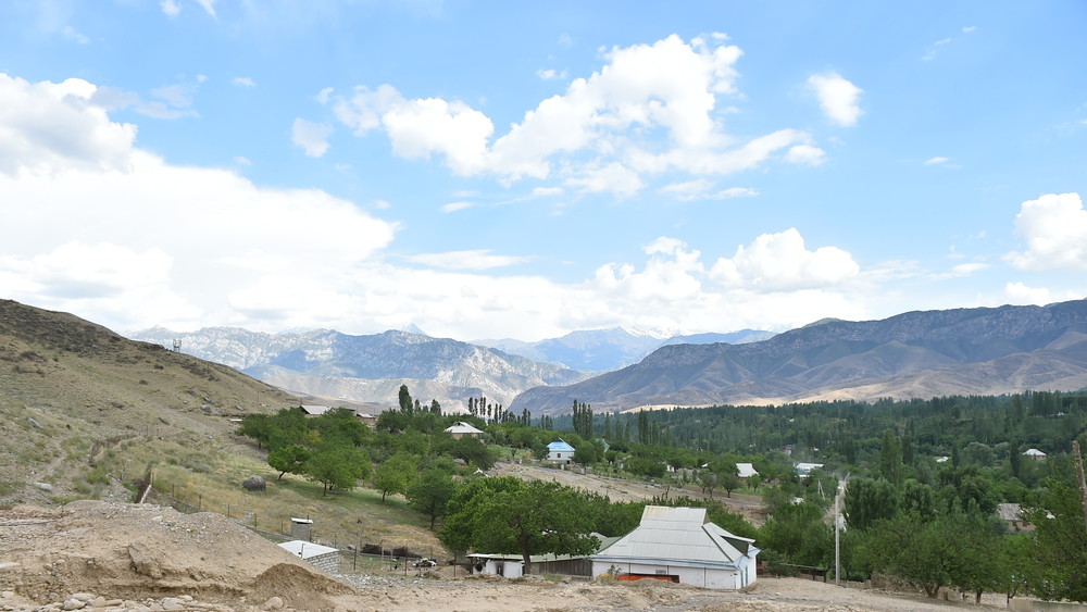 Иллюстративное фото