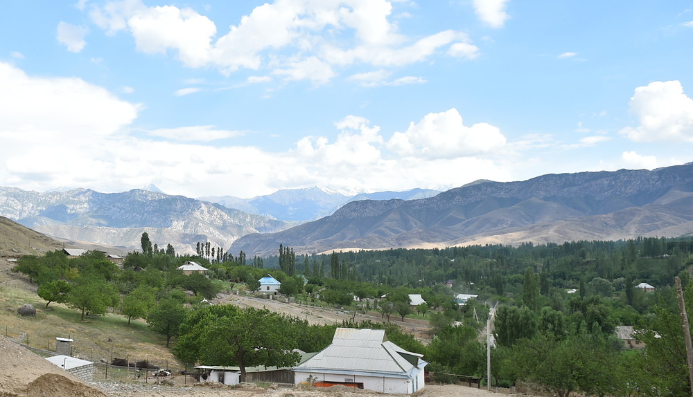 Иллюстрациялык сүрөт