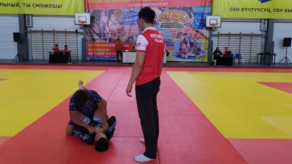 Грэпплинг ADCC