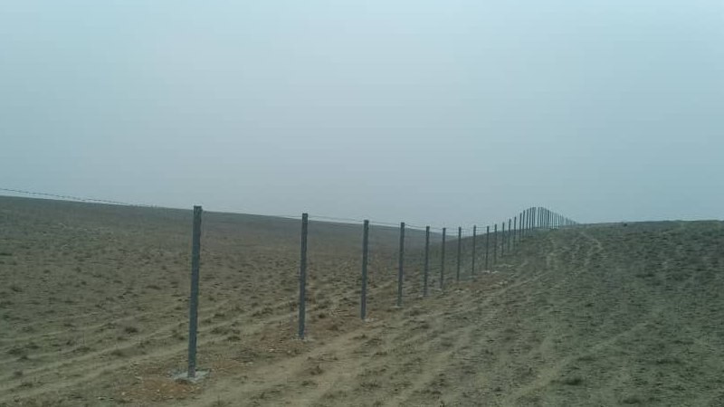 Иллюстративное фото