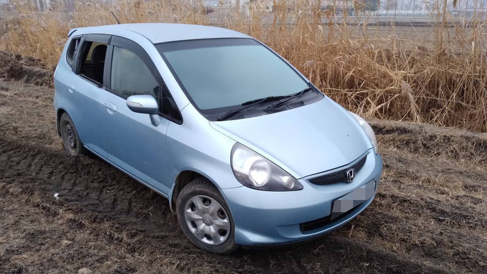 Иллюстрациялык сүрөт