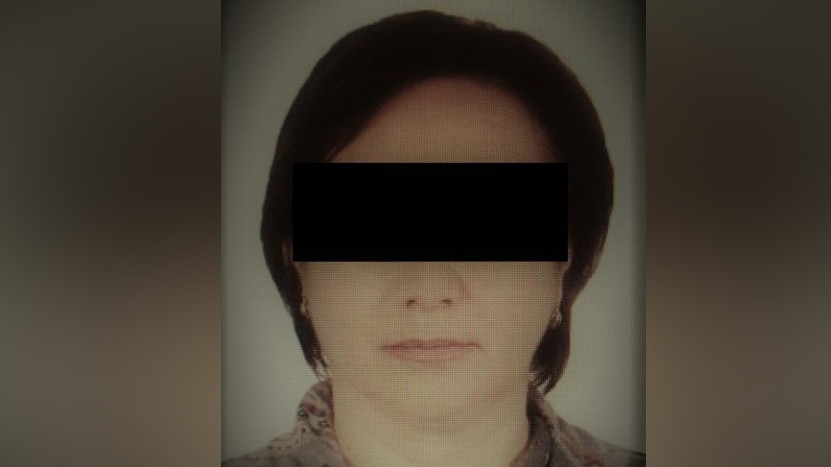 Подозреваемая