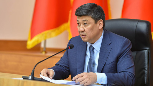 экспорт фасоли