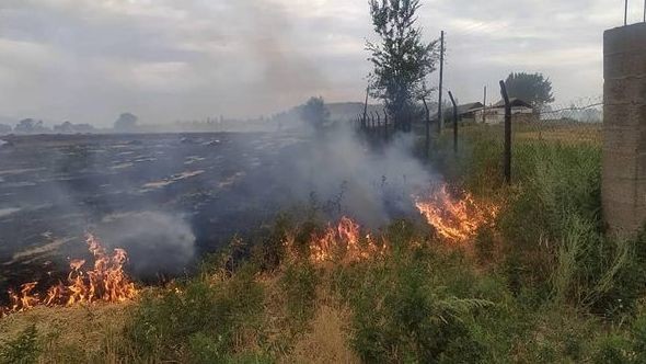 Иллюстрациялык сүрөт