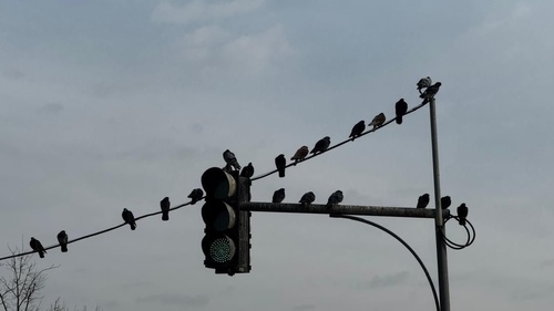 энергетика