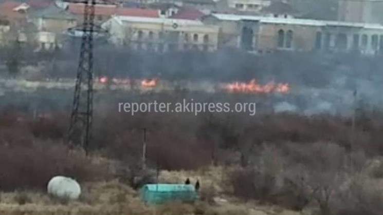 Возле ботсада горит сухотравие
