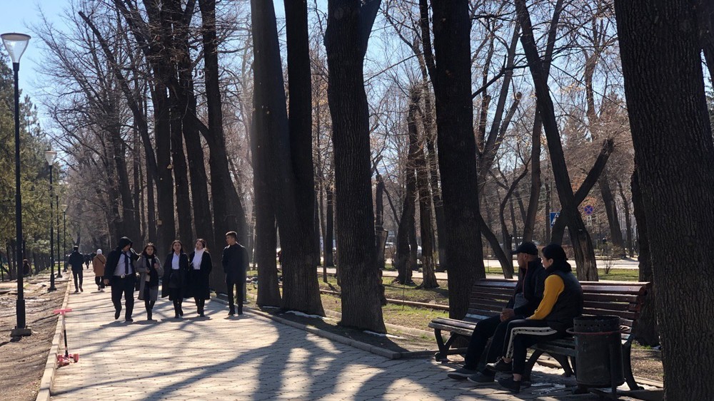 Иллюстрациялык сүрөт