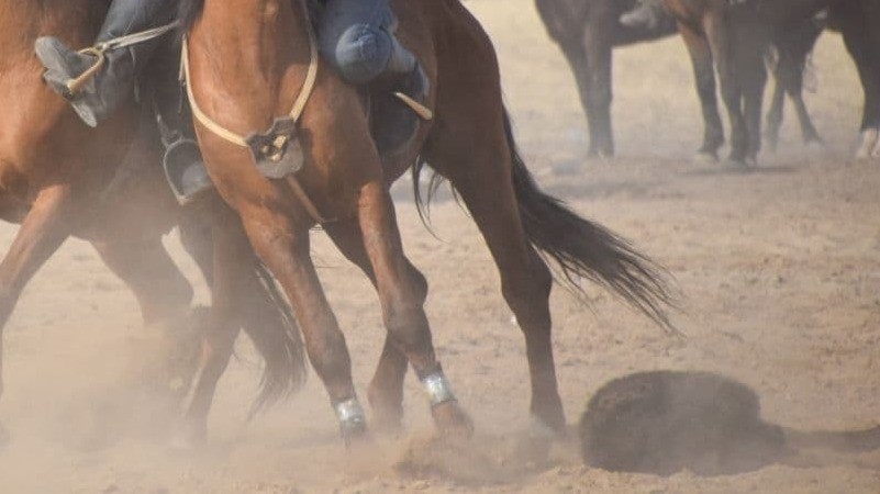 Иллюстрациялык сүрөт