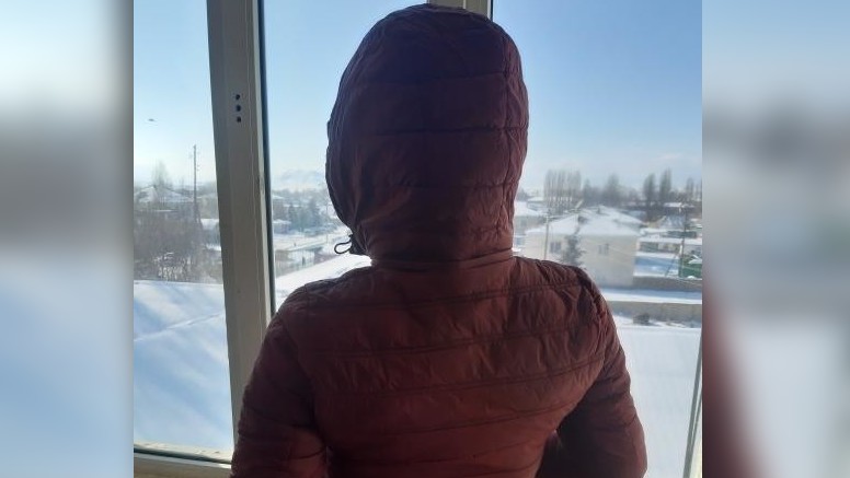 Иллюстрациялык сүрөт