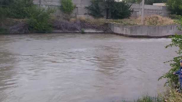 Иллюстративное фото