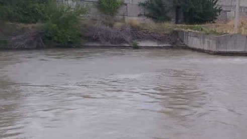 Иллюстрационное фото