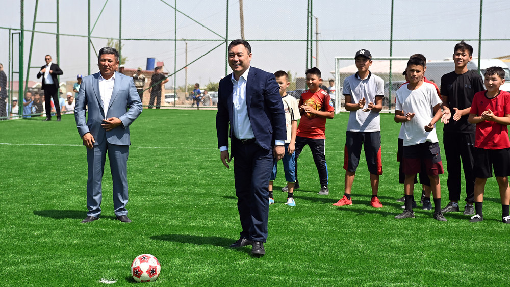 Иллюстрациялык сүрөт