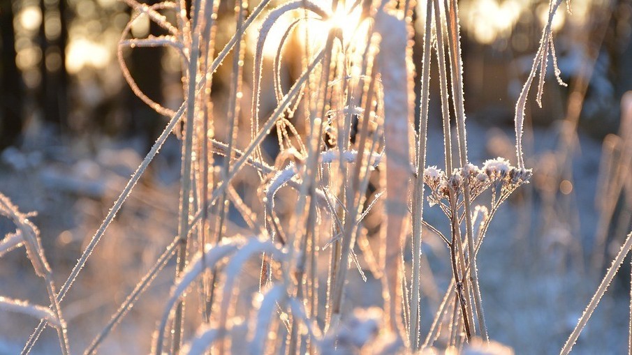 Иллюстративное фото