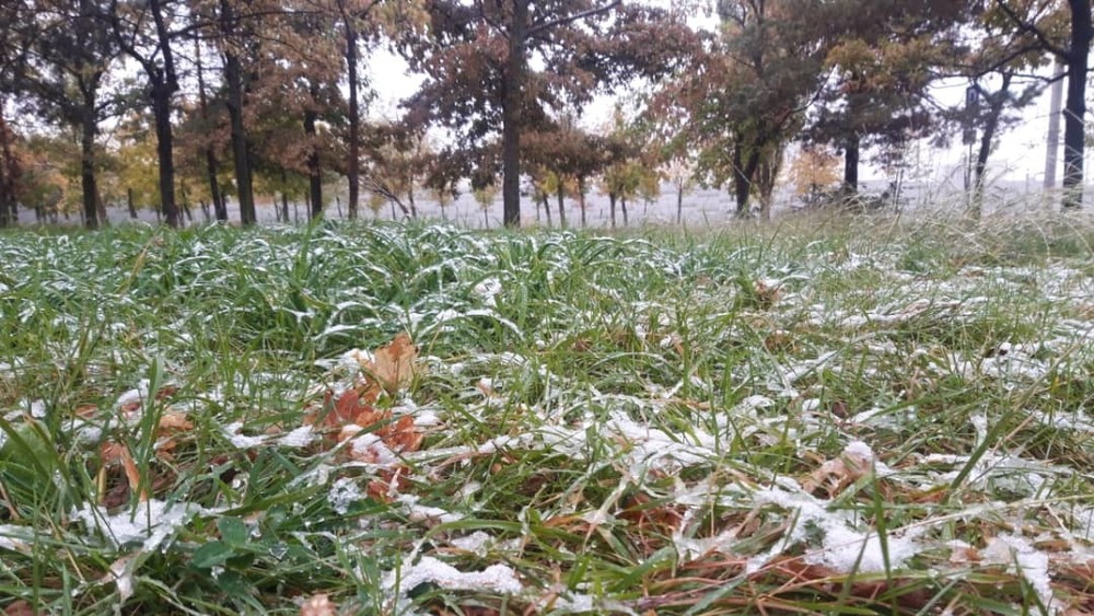 Иллюстрациялык сүрөт