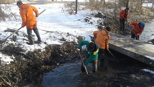 Сотрудники